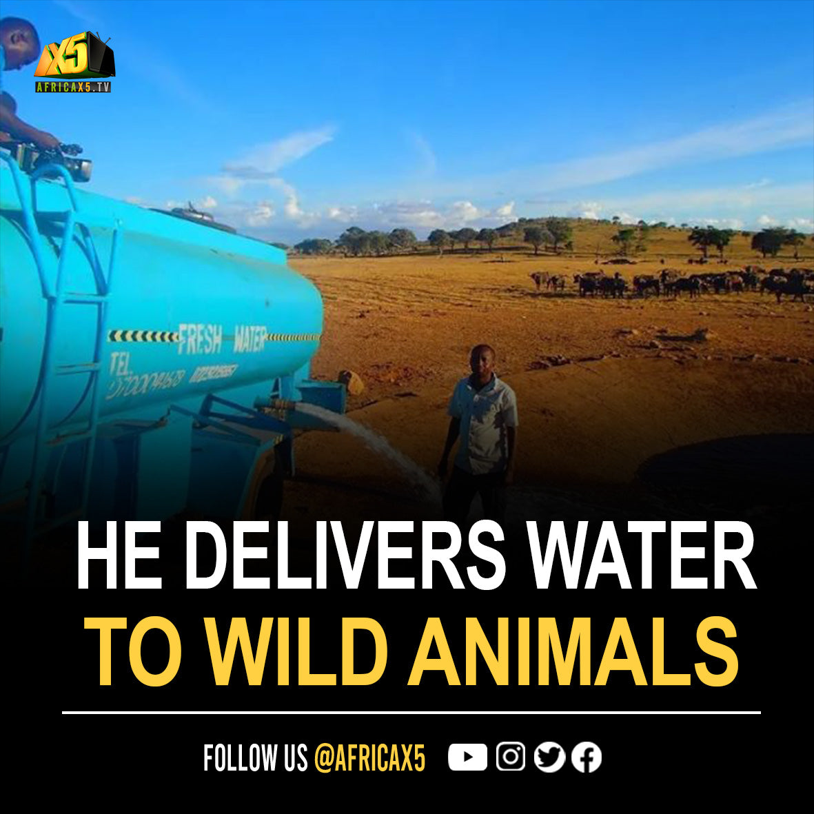 Kenyan Man Drives 100s of Kilometres to Deliver Water to Animals in Drought