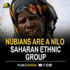Nubians are a Nilo-Saharan ethnic group indigenous to the region which is now Northern Sudan and Southern Egypt