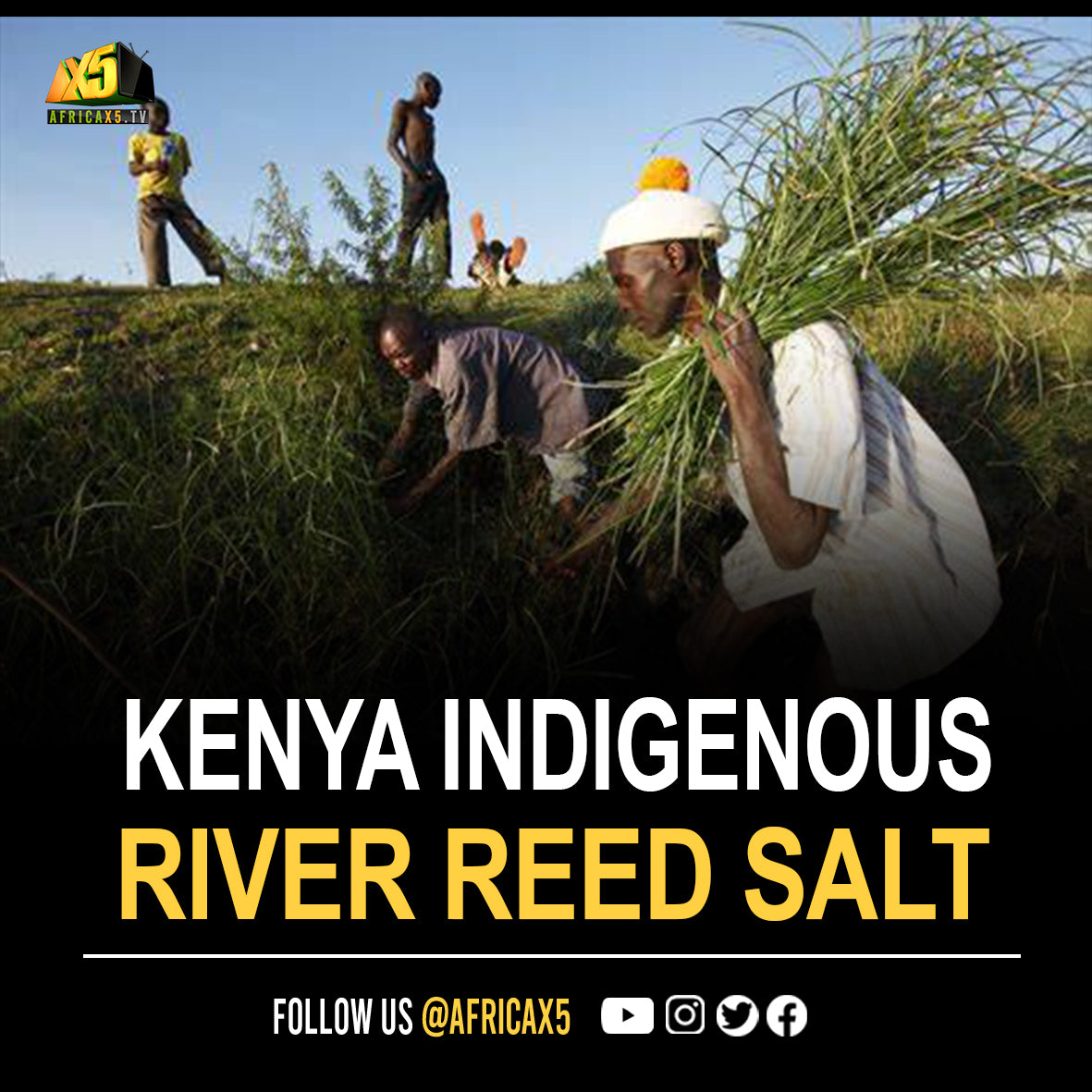 Kenya's award-winning indigenous river reed salt is almost 22 times the price of standard sea salt