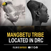 The Mangbetu tribe is an ethnic group located in the northeastern part of the Democratic Republic of the Congo, primarily in the Haut-Uele and Bas-Uele provinces.