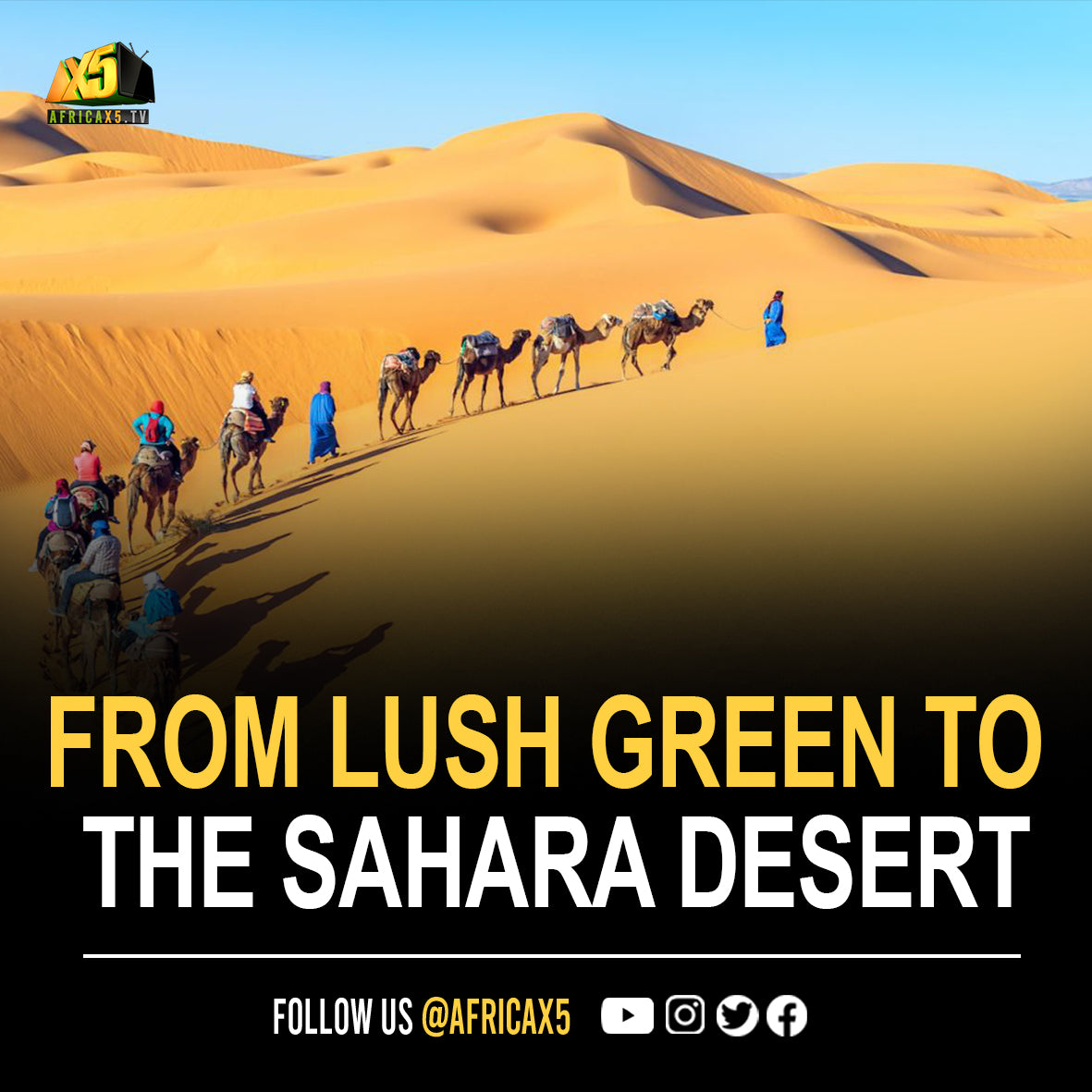 FROM LUSH GREEN TO A DESERT