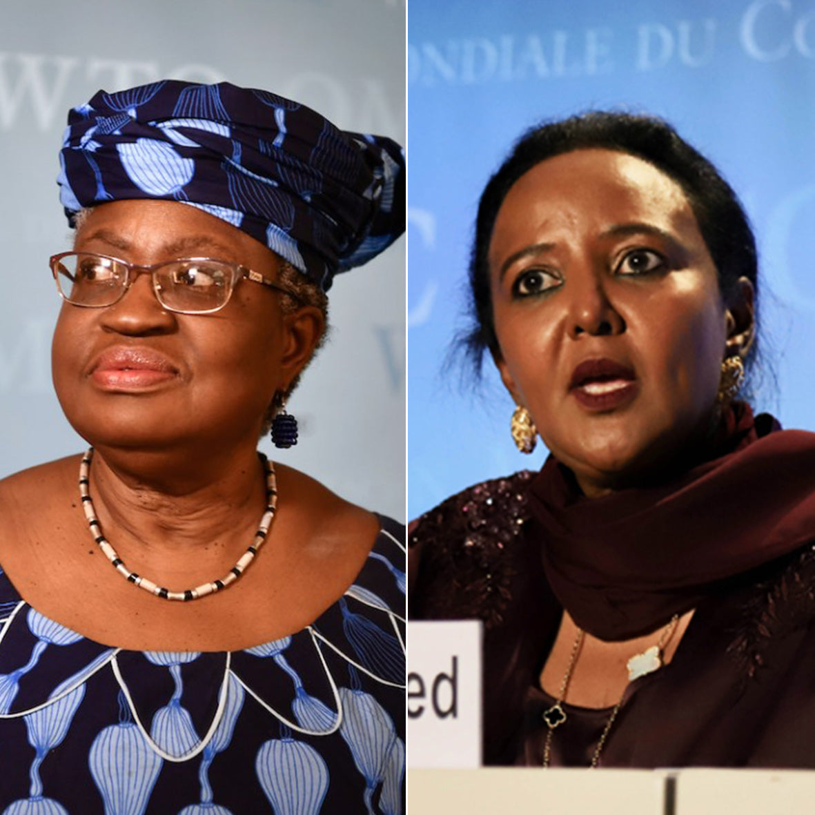 African Development: Two African Candidates Make WTO Final Five